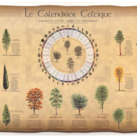 Calendrier celte et signification sselon la date de naissance